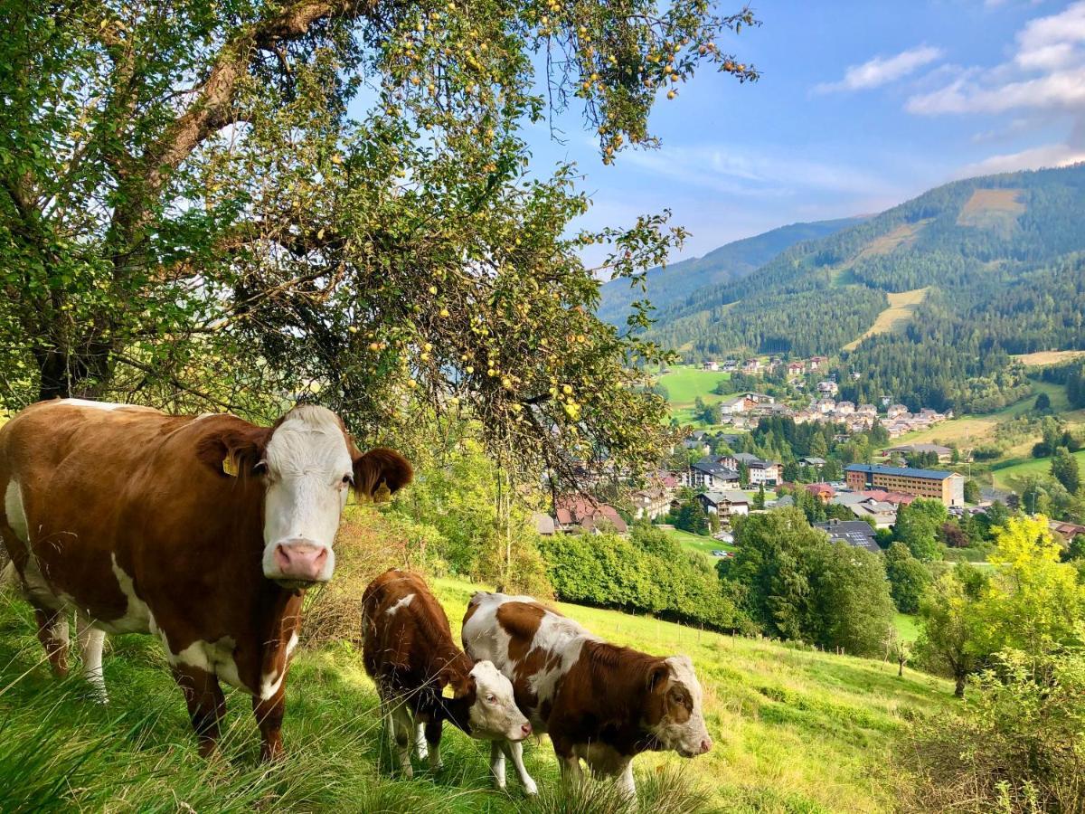 Feichterhof Leilighet Bad Kleinkirchheim Eksteriør bilde